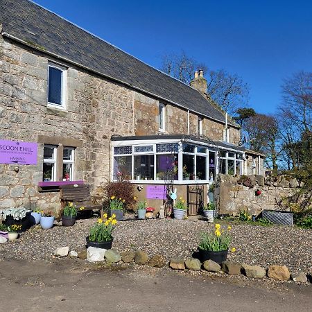 Scooniehill Farm House B&B St Andrews Exteriör bild