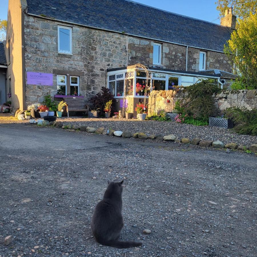 Scooniehill Farm House B&B St Andrews Exteriör bild
