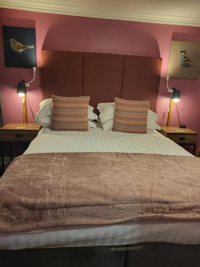 Scooniehill Farm House B&B St Andrews Exteriör bild