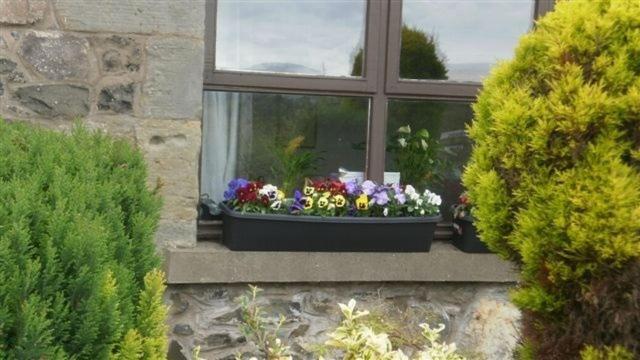 Scooniehill Farm House B&B St Andrews Exteriör bild