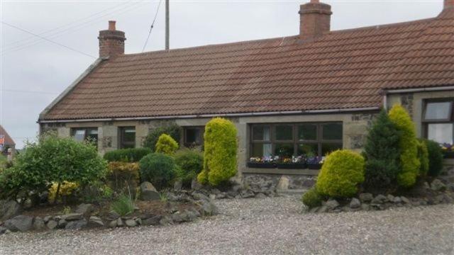 Scooniehill Farm House B&B St Andrews Exteriör bild