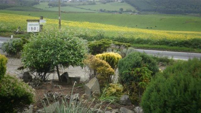 Scooniehill Farm House B&B St Andrews Rum bild